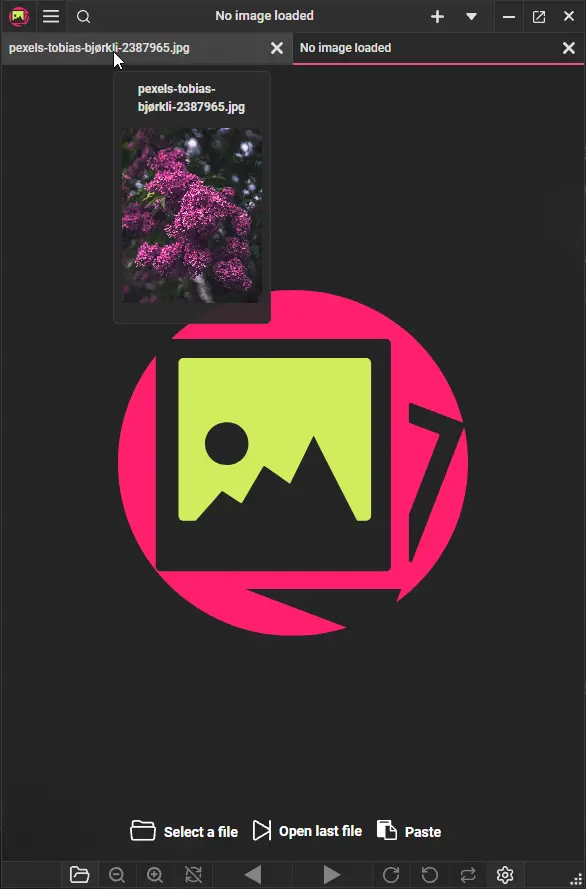 PicView 5.0 tabbed interface with multiple image tabs open and a clean top toolbar
