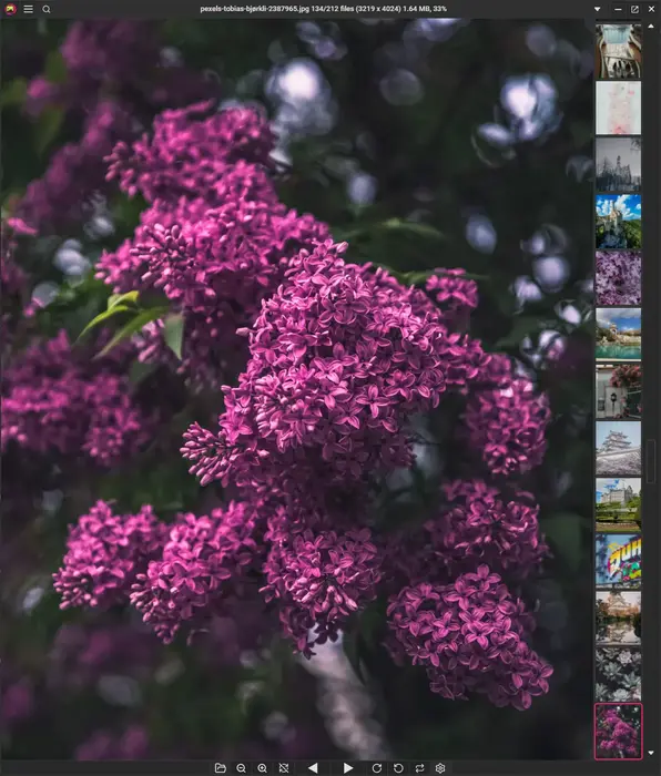 PicView 5.0 with gallery docked to the right